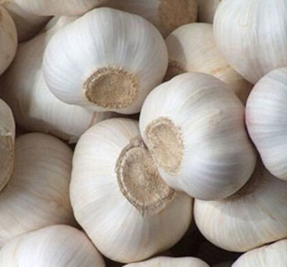 দেশি রসুন  ১ কেজি Native Garlic 1 kg